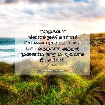 Picture 07 - கலாத்தியர் 2:10 TAMIRV - ஏழைகளை - Bible Verse Picture