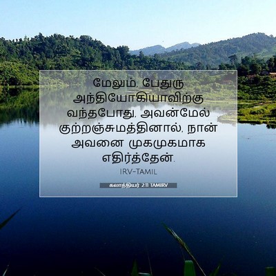 Picture 07 - கலாத்தியர் 2:11 TAMIRV - மேலும், பேதுரு - Bible Verse Picture