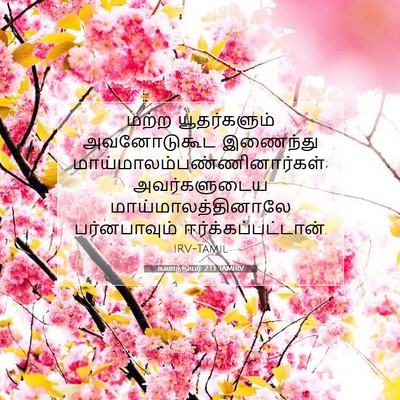 Picture 07 - கலாத்தியர் 2:13 TAMIRV - மற்ற யூதர்களும் - Bible Verse Picture