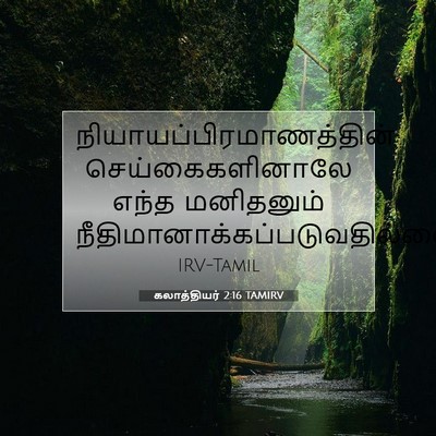 Picture 07 - கலாத்தியர் 2:16 TAMIRV -  - Bible Verse Picture