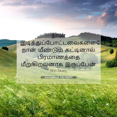 Picture 07 - கலாத்தியர் 2:18 TAMIRV - நான் - Bible Verse Picture