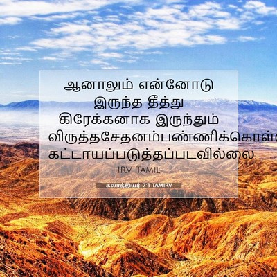 Picture 07 - கலாத்தியர் 2:3 TAMIRV - ஆனாலும் என்னோடு - Bible Verse Picture
