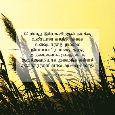 Picture 07 - கலாத்தியர் 2:4 TAMIRV - கிறிஸ்து - Bible Verse Picture