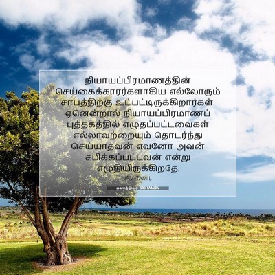 Picture 07 - கலாத்தியர் 3:10 TAMIRV -  - Bible Verse Picture