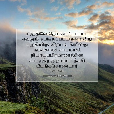 Picture 07 - கலாத்தியர் 3:13 TAMIRV - மரத்திலே - Bible Verse Picture