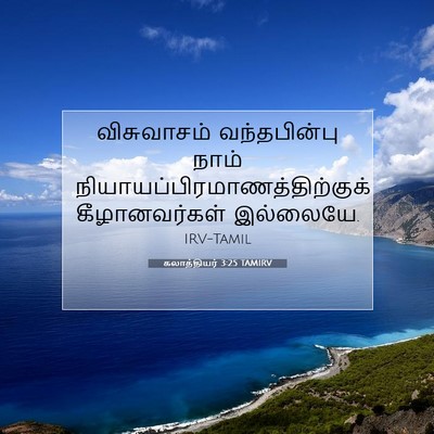 Picture 07 - கலாத்தியர் 3:25 TAMIRV - விசுவாசம் - Bible Verse Picture