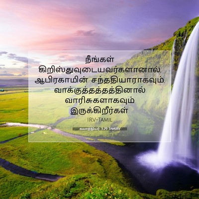 Picture 07 - கலாத்தியர் 3:29 TAMIRV - நீங்கள் - Bible Verse Picture