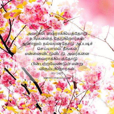 Picture 07 - கலாத்தியர் 4:17 TAMIRV - அவர்கள் - Bible Verse Picture