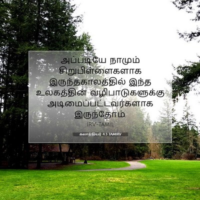 Picture 07 - கலாத்தியர் 4:3 TAMIRV - அப்படியே நாமும் - Bible Verse Picture