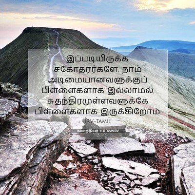 Picture 07 - கலாத்தியர் 4:31 TAMIRV - இப்படியிருக்க, - Bible Verse Picture