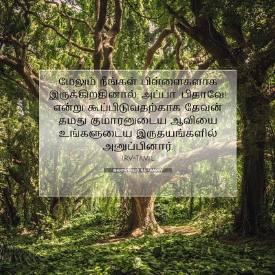 Picture 07 - கலாத்தியர் 4:6 TAMIRV - மேலும் நீங்கள் - Bible Verse Picture