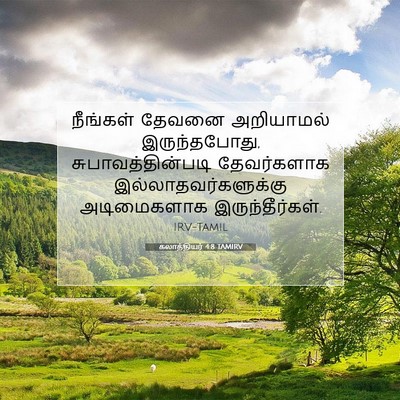 Picture 07 - கலாத்தியர் 4:8 TAMIRV - நீங்கள் தேவனை - Bible Verse Picture