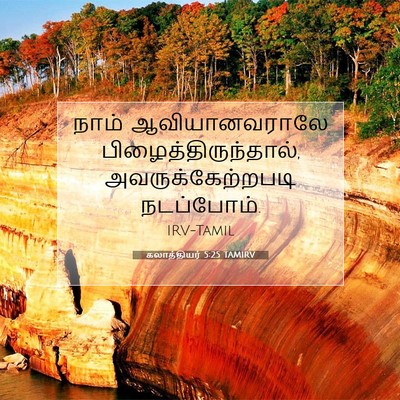 Picture 07 - கலாத்தியர் 5:25 TAMIRV - நாம் ஆவியானவராலே - Bible Verse Picture