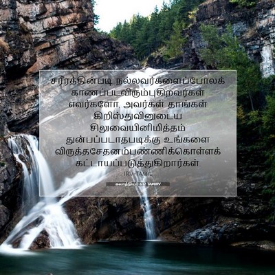 Picture 07 - கலாத்தியர் 6:12 TAMIRV - சரீரத்தின்படி - Bible Verse Picture