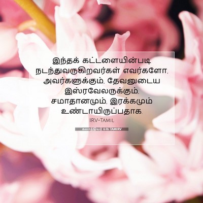 Picture 07 - கலாத்தியர் 6:16 TAMIRV - இந்தக் - Bible Verse Picture
