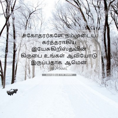 Picture 07 - கலாத்தியர் 6:18 TAMIRV - சகோதரர்களே, - Bible Verse Picture