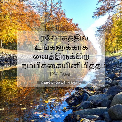 Picture 07 - கொலோசெயர் 1:4 TAMIRV - பரலோகத்தில் - Bible Verse Picture