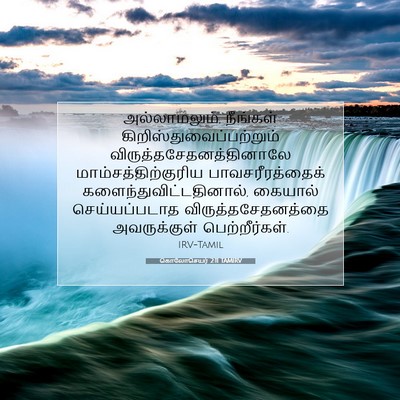 Picture 07 - கொலோசெயர் 2:11 TAMIRV - அல்லாமலும், - Bible Verse Picture