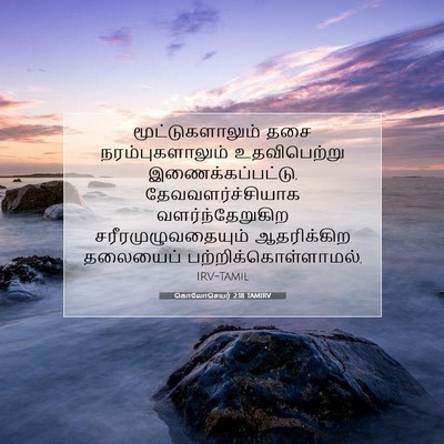 Picture 07 - கொலோசெயர் 2:18 TAMIRV - மூட்டுகளாலும் தசை - Bible Verse Picture