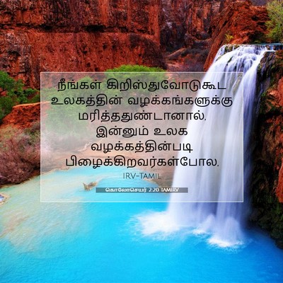 Picture 07 - கொலோசெயர் 2:20 TAMIRV - நீங்கள் - Bible Verse Picture