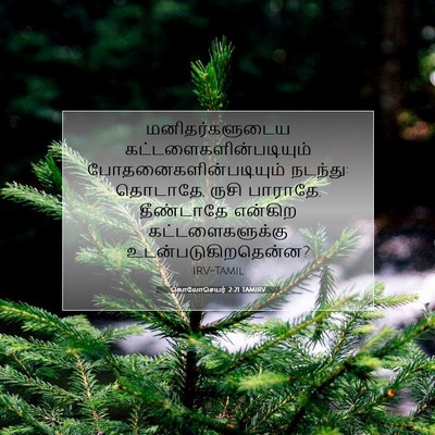 Picture 07 - கொலோசெயர் 2:21 TAMIRV - மனிதர்களுடைய - Bible Verse Picture