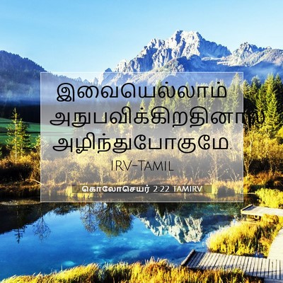Picture 07 - கொலோசெயர் 2:22 TAMIRV - இவையெல்லாம் - Bible Verse Picture