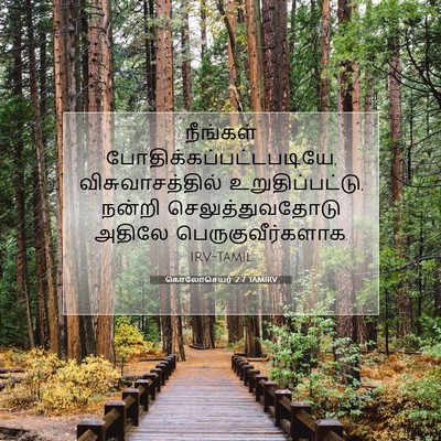 Picture 07 - கொலோசெயர் 2:7 TAMIRV - நீங்கள் - Bible Verse Picture