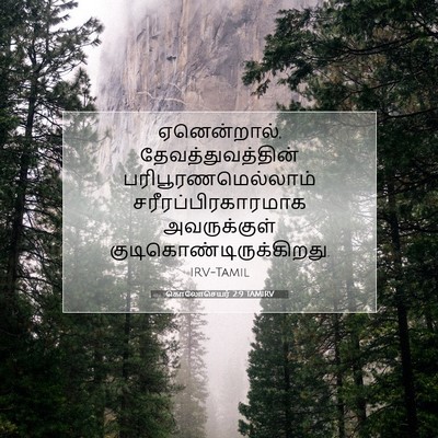 Picture 07 - கொலோசெயர் 2:9 TAMIRV - ஏனென்றால், - Bible Verse Picture