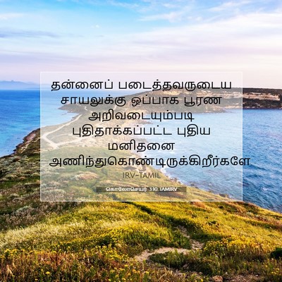 Picture 07 - கொலோசெயர் 3:10 TAMIRV - தன்னைப் - Bible Verse Picture