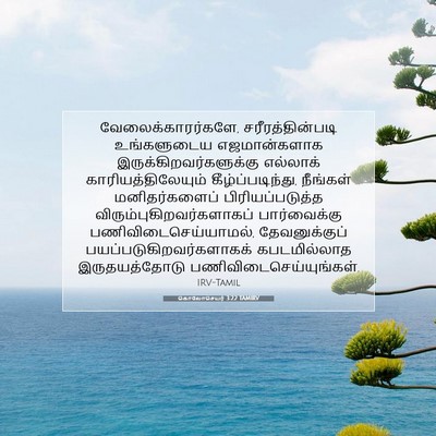 Picture 07 - கொலோசெயர் 3:22 TAMIRV - வேலைக்காரர்களே, - Bible Verse Picture