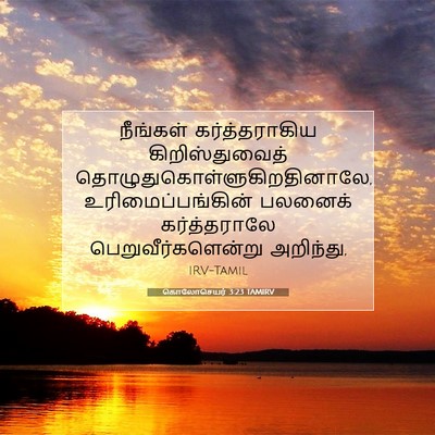 Picture 07 - கொலோசெயர் 3:23 TAMIRV - நீங்கள் - Bible Verse Picture