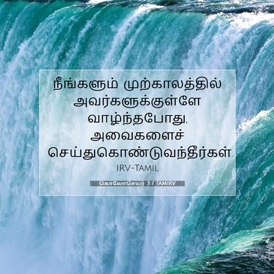 Picture 07 - கொலோசெயர் 3:7 TAMIRV - நீங்களும் - Bible Verse Picture