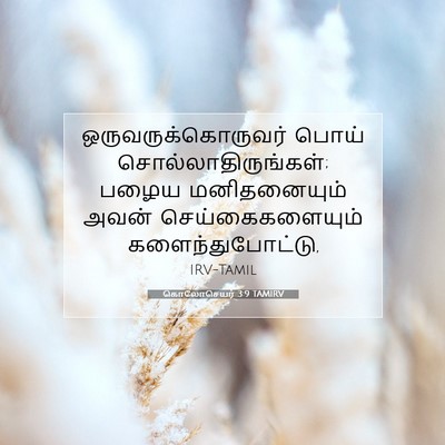 Picture 07 - கொலோசெயர் 3:9 TAMIRV - ஒருவருக்கொருவர் - Bible Verse Picture