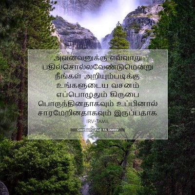 Picture 07 - கொலோசெயர் 4:6 TAMIRV - அவனவனுக்கு - Bible Verse Picture