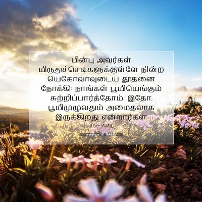 Picture 07 - சகரியா 1:11 TAMIRV - பின்பு அவர்கள் - Bible Verse Picture