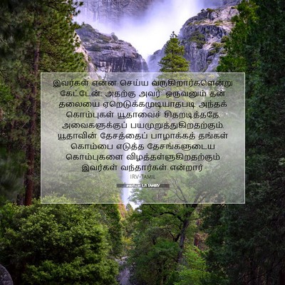 Picture 07 - சகரியா 1:21 TAMIRV - இவர்கள் என்ன - Bible Verse Picture