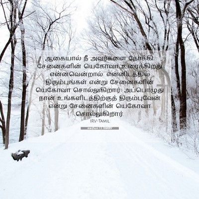 Picture 07 - சகரியா 1:3 TAMIRV - ஆகையால் நீ - Bible Verse Picture