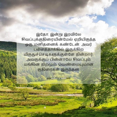 Picture 07 - சகரியா 1:8 TAMIRV - இதோ, இன்று இரவிலே - Bible Verse Picture