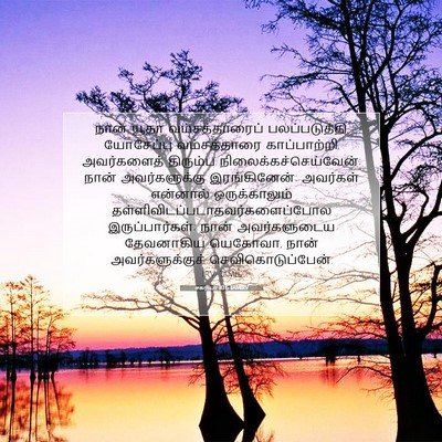 Picture 07 - சகரியா 10:6 TAMIRV - நான் யூதா - Bible Verse Picture