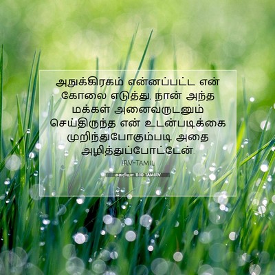 Picture 07 - சகரியா 11:10 TAMIRV - அநுக்கிரகம் - Bible Verse Picture