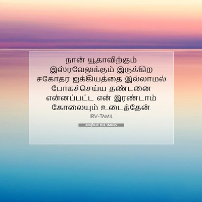 Picture 07 - சகரியா 11:14 TAMIRV - நான் யூதாவிற்கும் - Bible Verse Picture