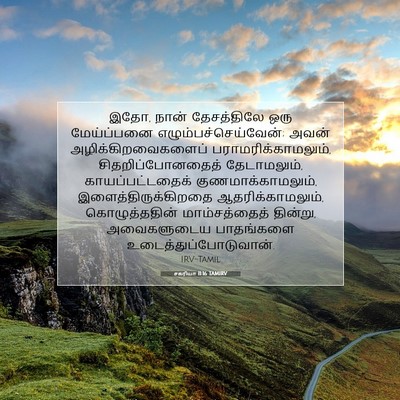 Picture 07 - சகரியா 11:16 TAMIRV - இதோ, நான் - Bible Verse Picture