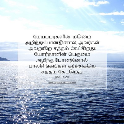 Picture 07 - சகரியா 11:3 TAMIRV - மேய்ப்பர்களின் - Bible Verse Picture