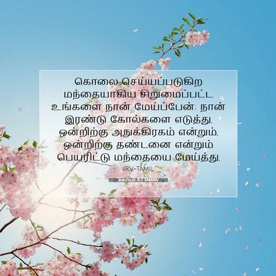 Picture 07 - சகரியா 11:7 TAMIRV - கொலை - Bible Verse Picture