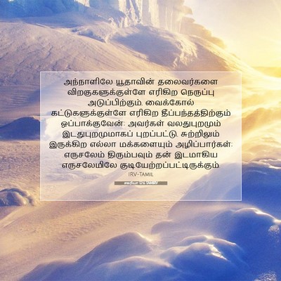 Picture 07 - சகரியா 12:6 TAMIRV - அந்நாளிலே - Bible Verse Picture