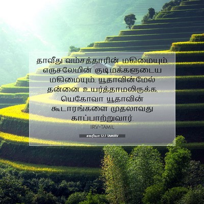 Picture 07 - சகரியா 12:7 TAMIRV - தாவீது - Bible Verse Picture