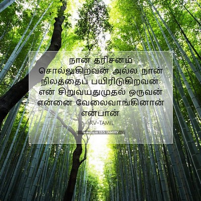 Picture 07 - சகரியா 13:5 TAMIRV - நான் தரிசனம் - Bible Verse Picture