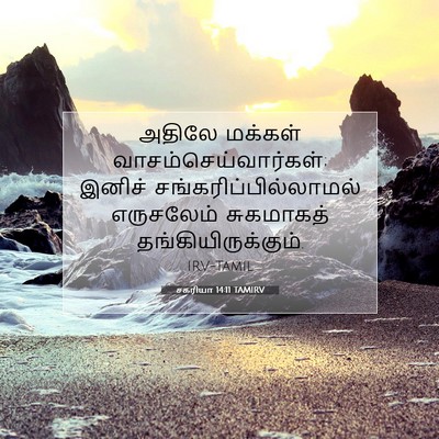 Picture 07 - சகரியா 14:11 TAMIRV - அதிலே மக்கள் - Bible Verse Picture