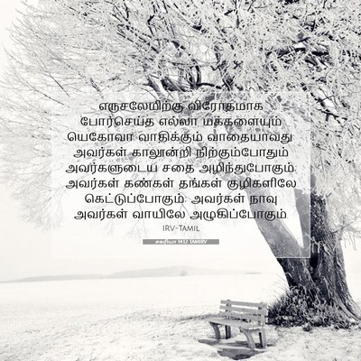 Picture 07 - சகரியா 14:12 TAMIRV - எருசலேமிற்கு - Bible Verse Picture