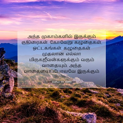 Picture 07 - சகரியா 14:15 TAMIRV - அந்த முகாம்களில் - Bible Verse Picture